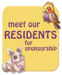 Meet our Residents for Sponsorship