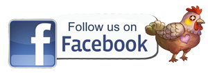 Follow us on Facebook