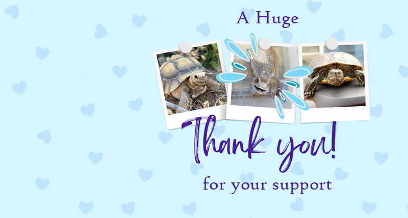 A Huge Thank You!