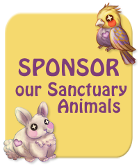 Sponsor our Sanctuary Animals