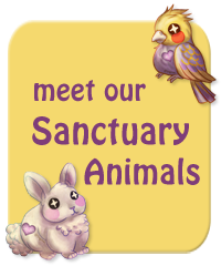 Meet Our Sanctuary Animals